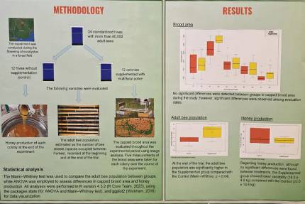 Vědecký poster s metodikou a výsledky studie vlivu multiflorálního pylu na včelstva, včetně grafů a schémat úlů