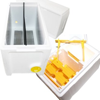 kat-olodnacky-a-plemenace7