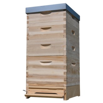 Včelí úl Dadant 1x(285) + 3x2/3(159) - 10 r. - cink