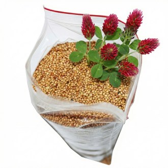 Jetel inkarnát  - 0,5 kg