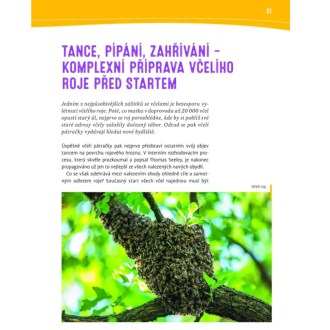 Proč se včelám potí nohy a poslouchají kolenem - Jürgen Tautz