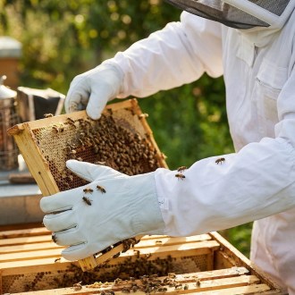 Včelařské rukavice kozinka vel. S-XXL