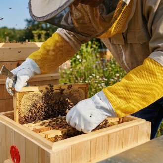 Včelařské rukavice kozinka vel. S-XXL - s větráním