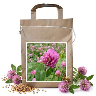 Jetel luční SUEZ - 1 kg